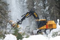 Întreţinerea utilajelor forestiere în condiţii aspre de iarnă. Patru sfaturi de la Tigercat