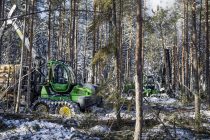 Sistemele TimberMatic Maps și TimberManager duc exploatarea forestieră la nivelul următor