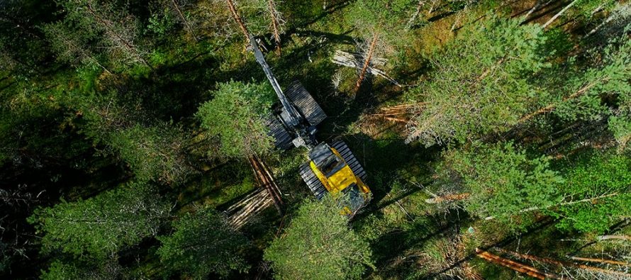 Metoda Cut-to-Length este viitorul în exploatarea forestieră