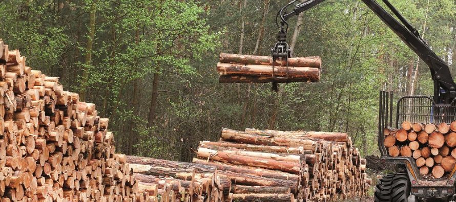 Anvelope BKT pentru exploatare forestieră