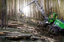 Timo Ylänen appointed Vice President, Worldwide Forestry, Deere&Company