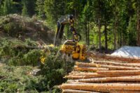 Tigercat | TCi a reproiectat capul de recoltare 568