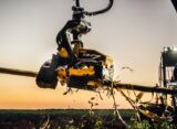 Un nou cap de recoltare Ponsse pentru plantații de eucalipt