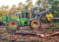 Seria L-III de tractoare articulate forestiere John Deere oferă noi niveluri de confort și eficiență